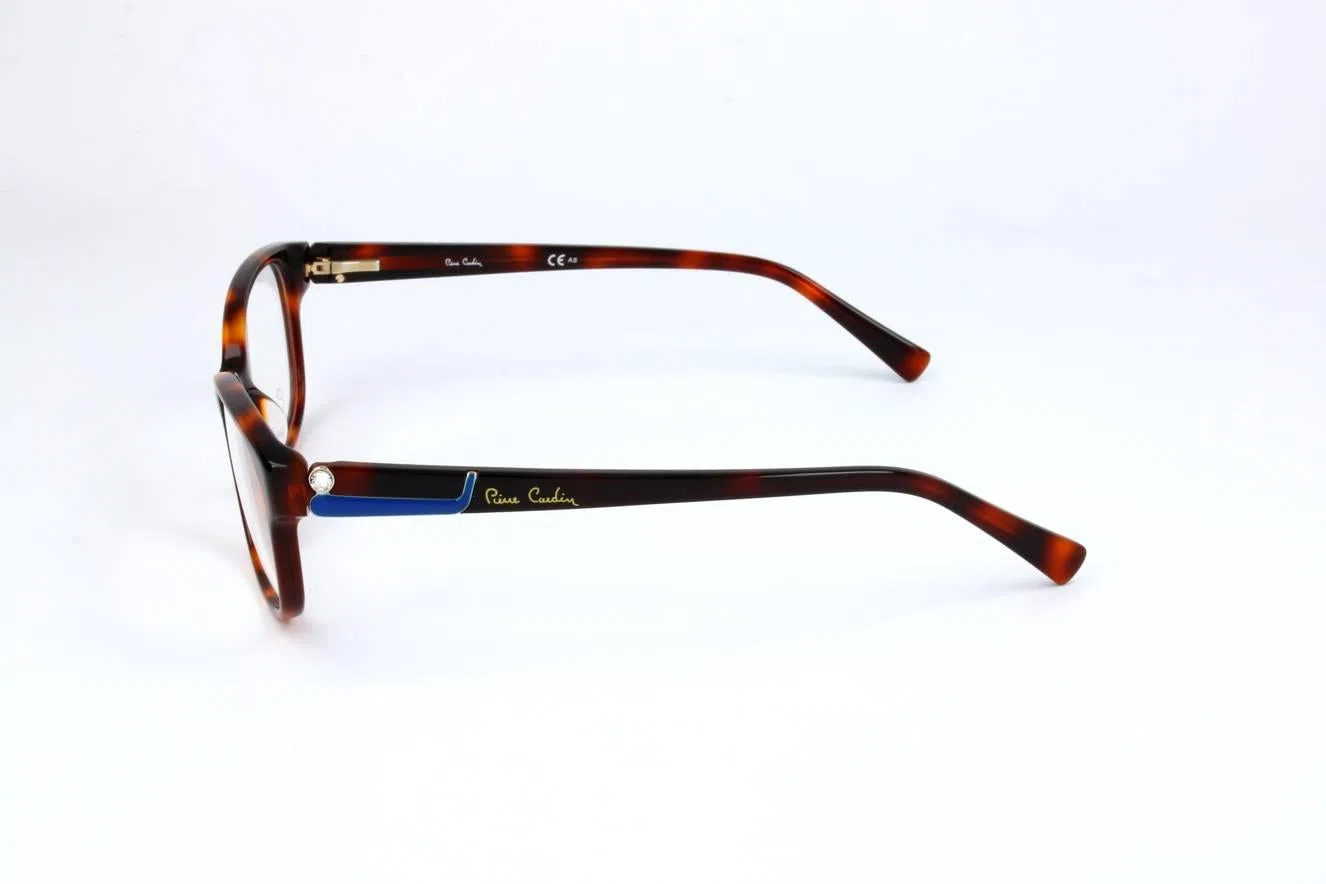Pierre Cardin PC8434 Eyeglasses - view 8